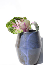 Cargar imagen en el visor de la galería, Florero
